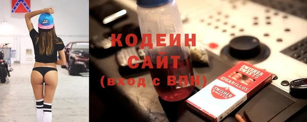 хмурый Бородино