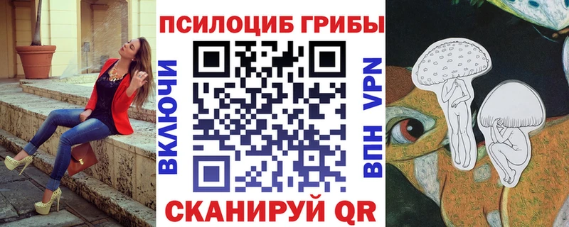 даркнет сайт  Медынь  Псилоцибиновые грибы ЛСД 